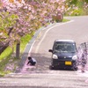 桜の思い出