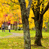 秋の公園