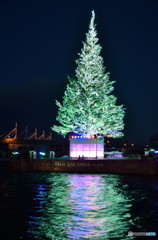 洋上のクリスマスツリー