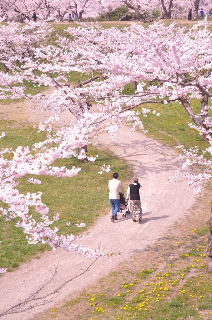 春の散策路