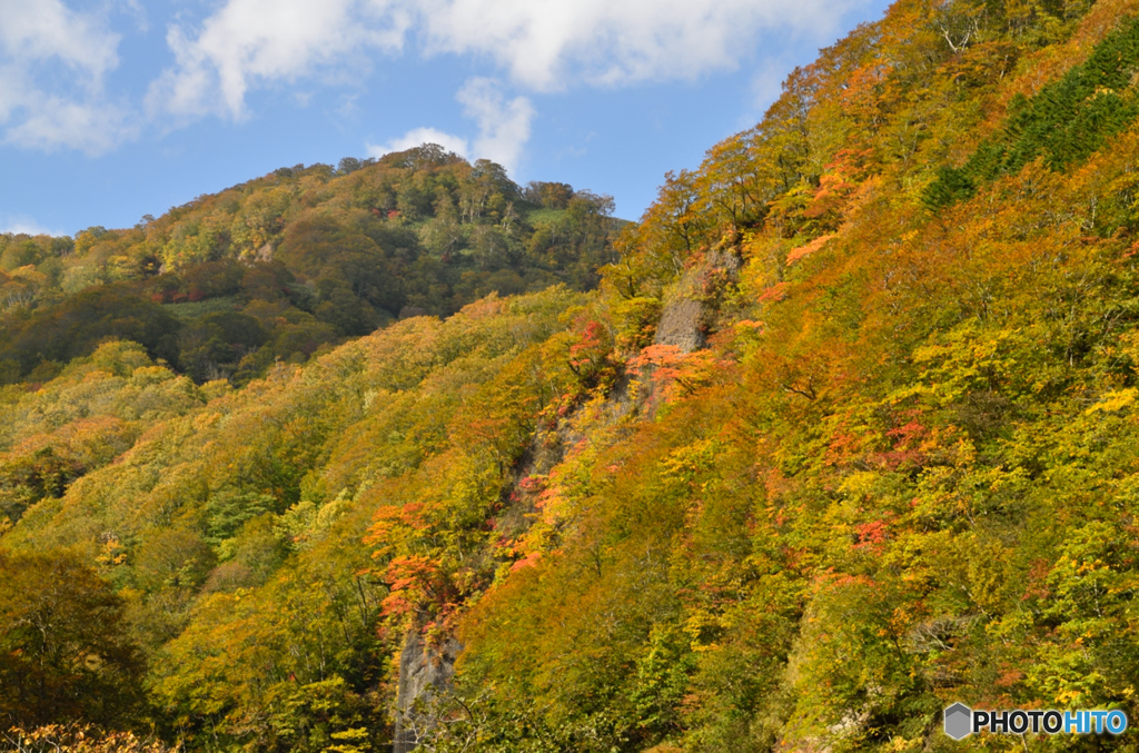 錦秋の山