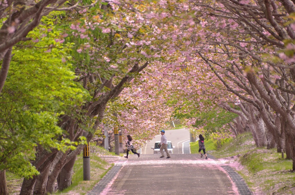 春の日の思い出