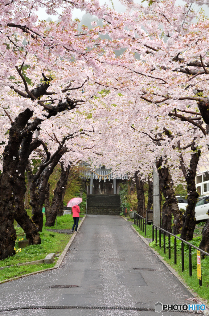 雨の神社