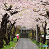 雨の神社