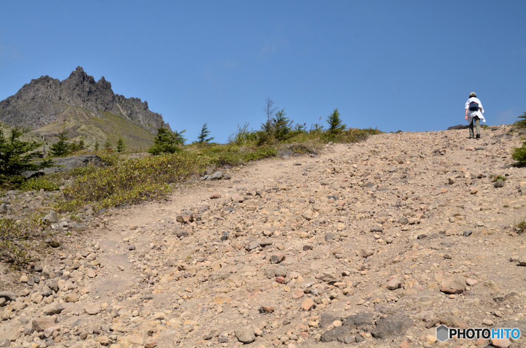 登山道