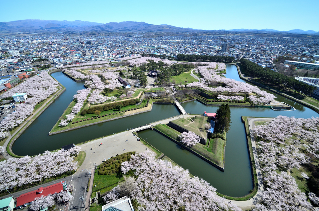 桜の季節