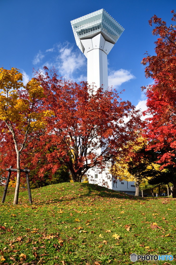 秋の五稜郭タワー