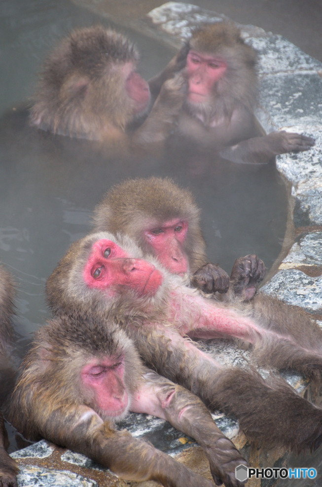 ゆったり