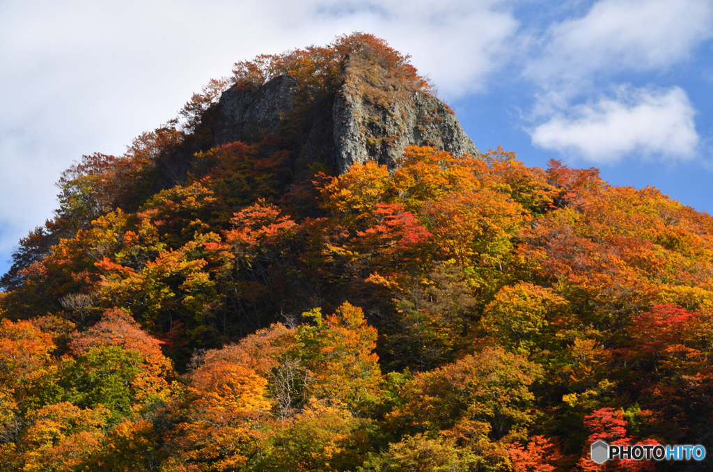 紅葉の頂