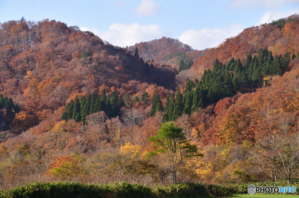 名も無き山の秋