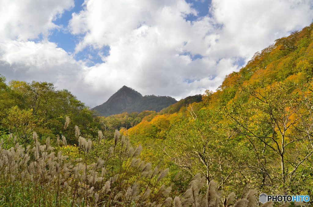 岩子岳の秋