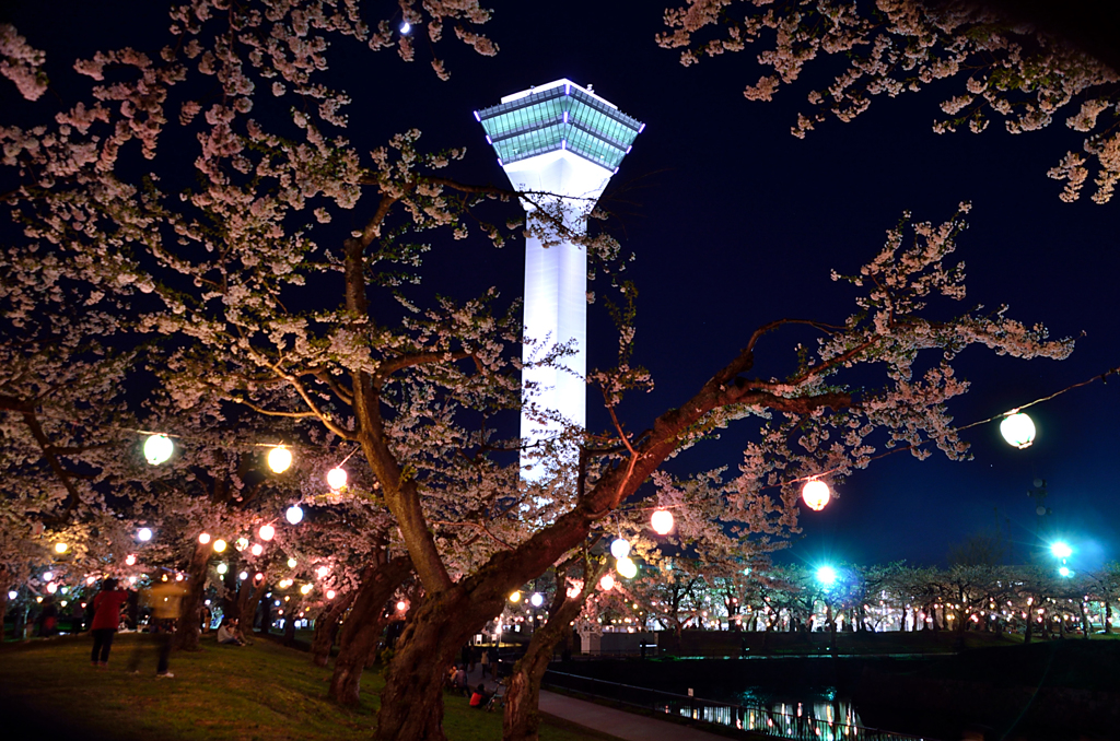 五稜郭タワーと夜桜