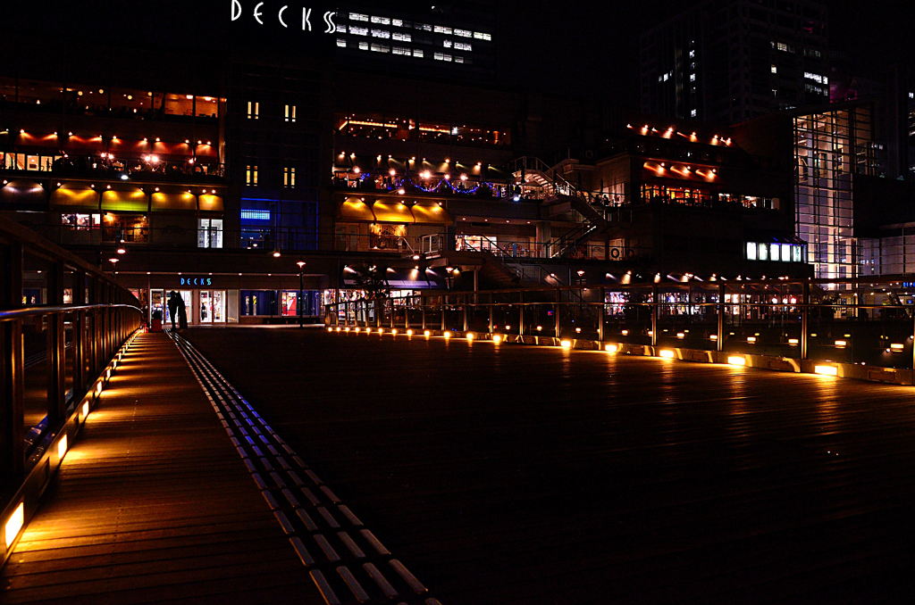 お台場の夜