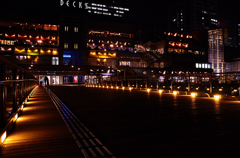 お台場の夜