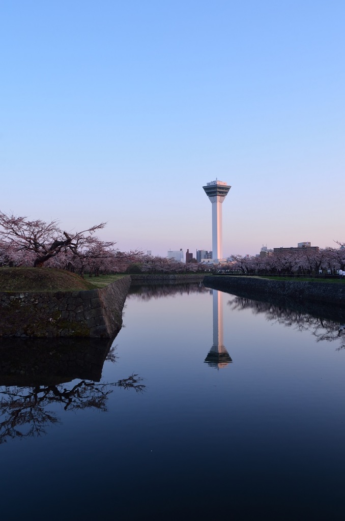 春の五稜郭公園