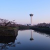 春の五稜郭公園