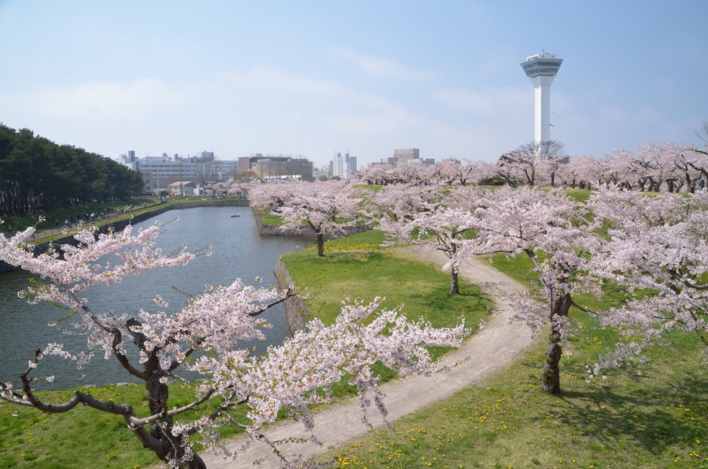 春の日～五稜郭公園