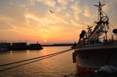 夕暮れの函館漁港