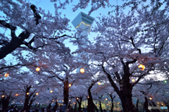 夜桜の五稜郭公園