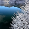 初冬の貯水池