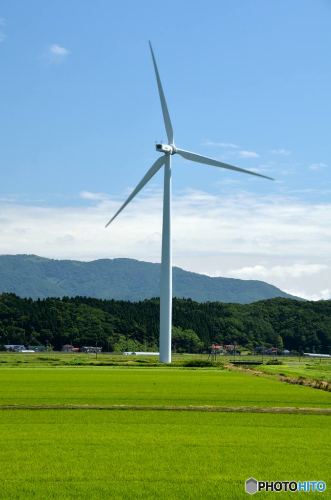 水田の風車