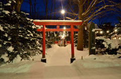 少し遅めの初詣