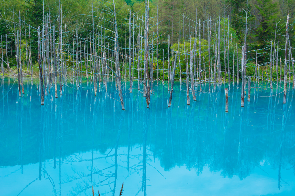 Blue pond