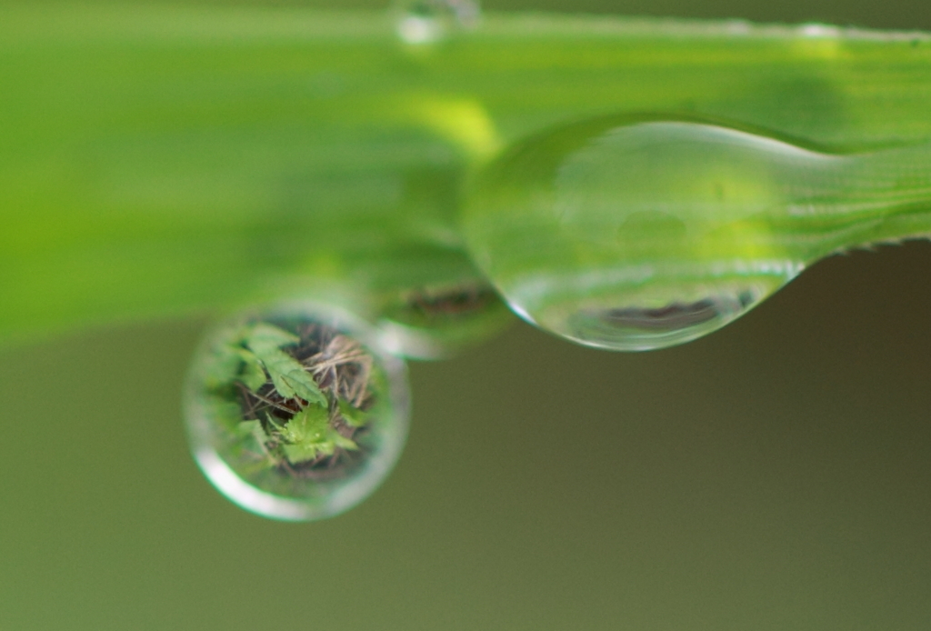 水鏡