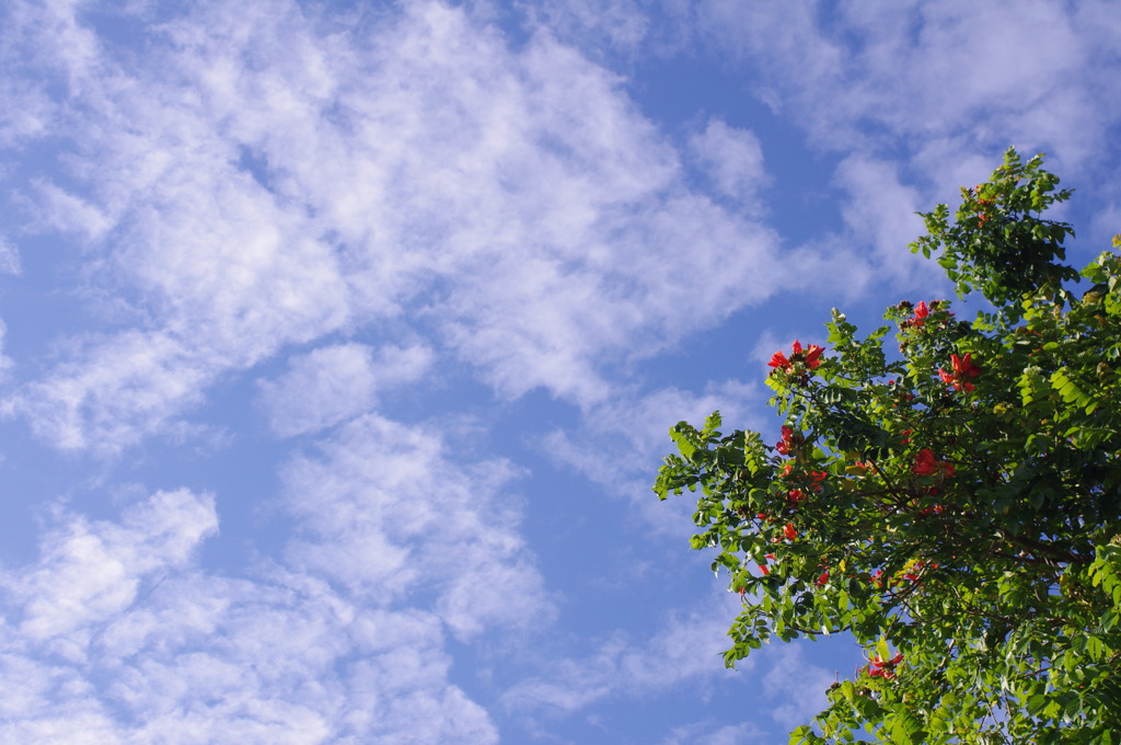 バリの空