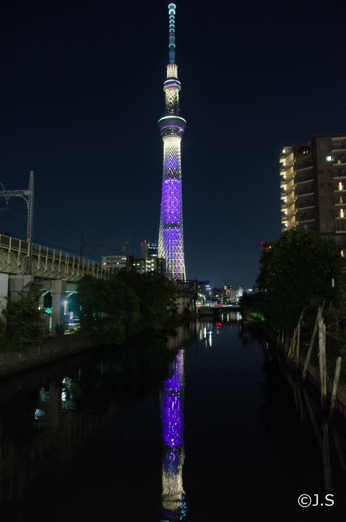 スカイツリー～reflection