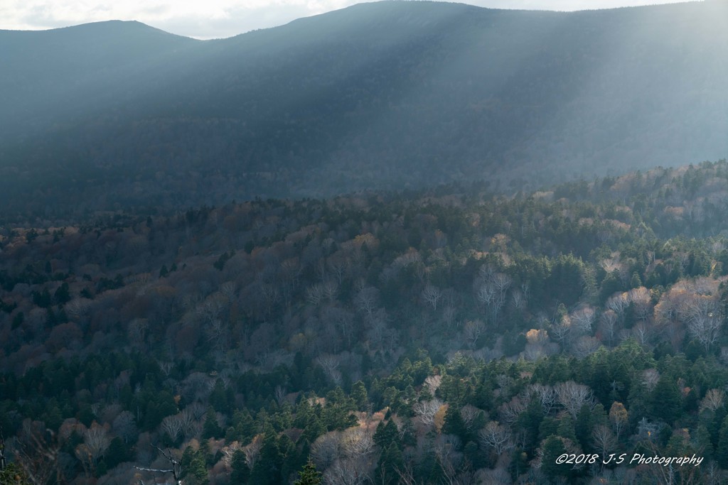 sun light shower