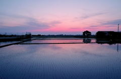 静寂の夕暮れ