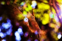 自分の世界の中心点