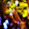 自分の世界の中心点