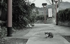 ようこそいらっしゃいまし