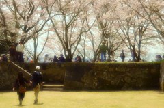 お花見日より