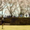 お花見日より