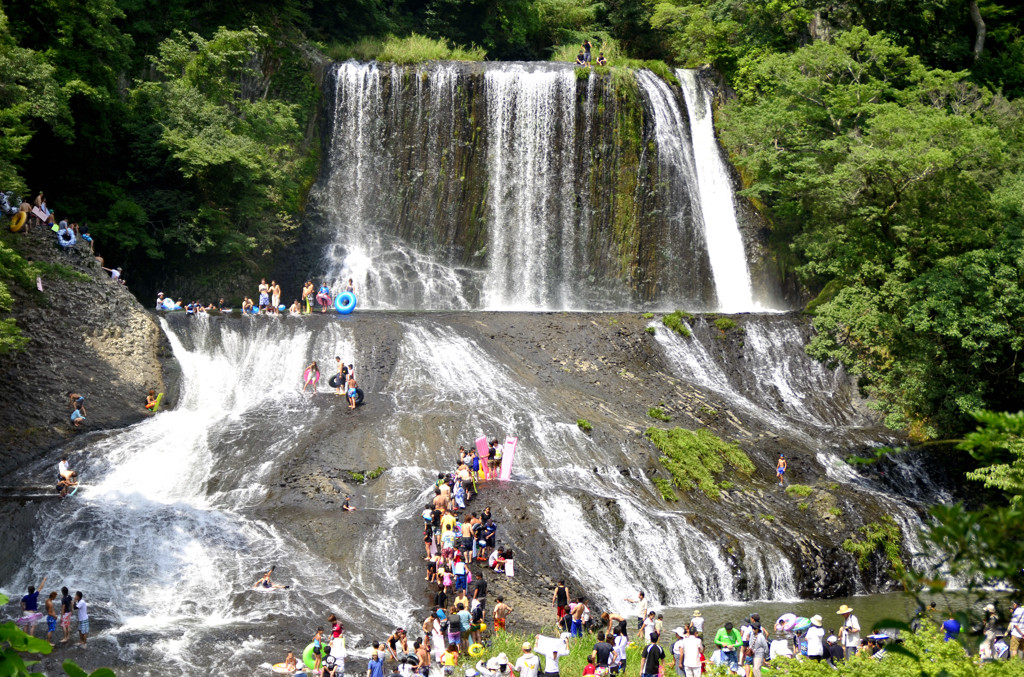 私の夏休み