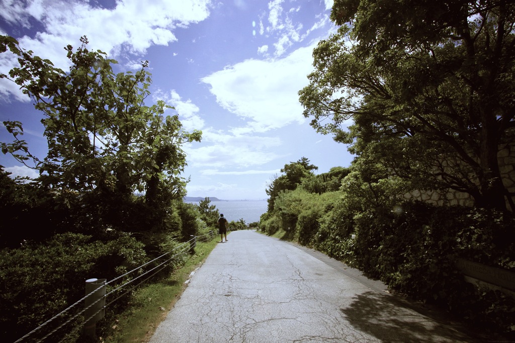 夏の風景