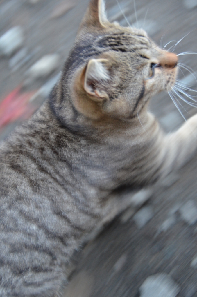 狙う