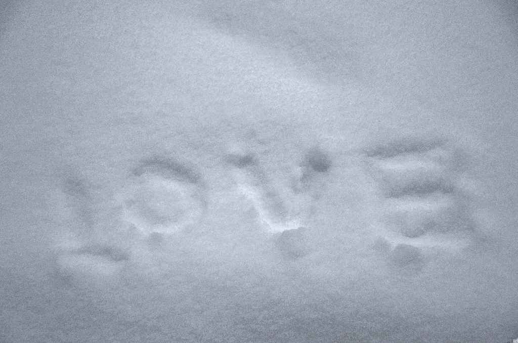 雪に書いたラブレター