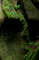 苔の洞門2