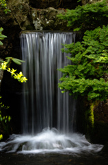 中島公園庭園の滝2