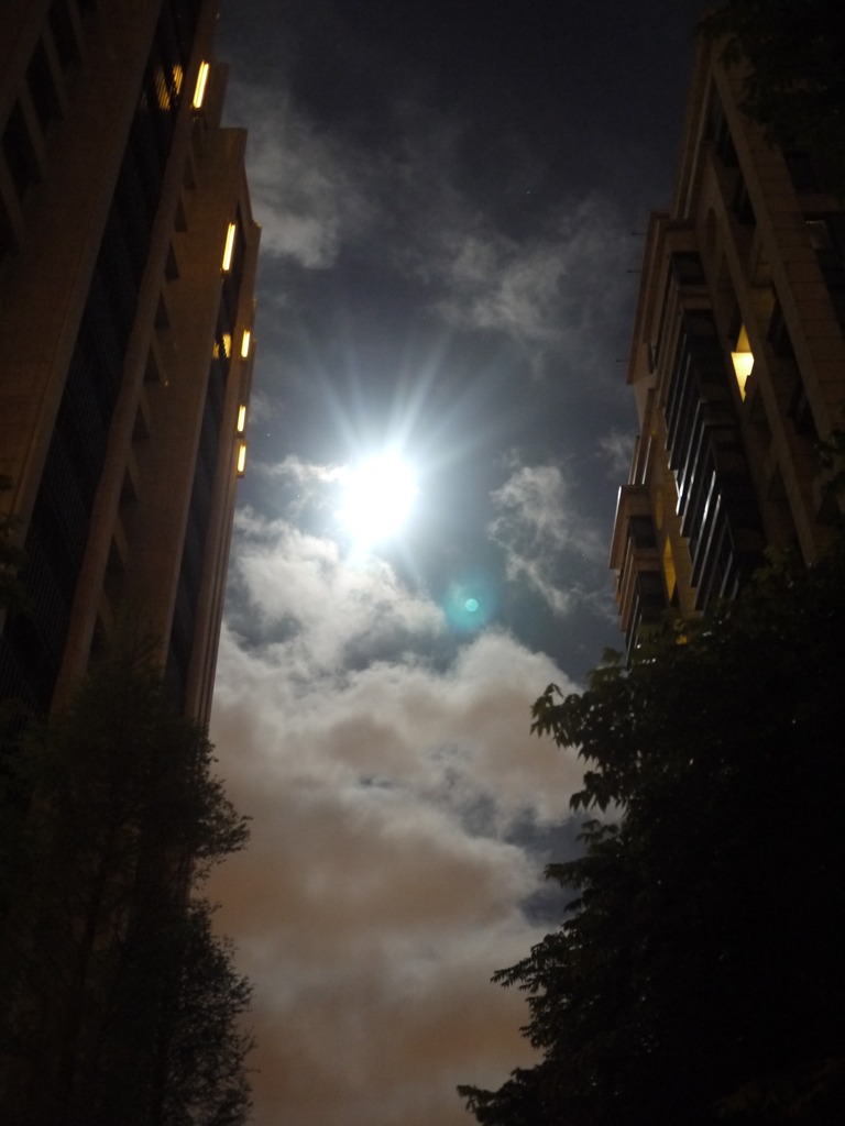 夜與月P1000967