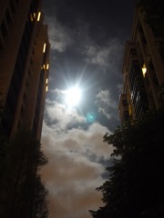 夜與月P1000967
