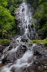 DSC_4893.jpg－１