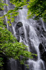 DSC_4902.jpg－１