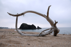 DSC_5022.jpg－１