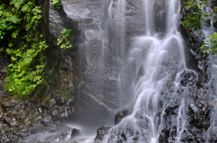 DSC_4860.jpg－１