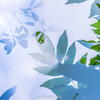 夢幻の夏